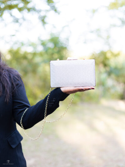 Shimmer Evening Clutch